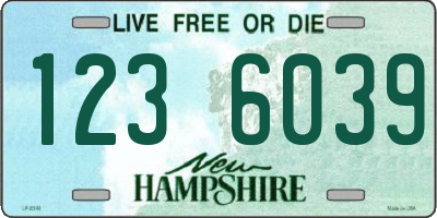 NH license plate 1236039