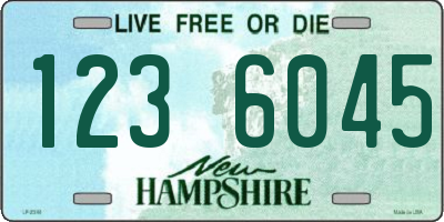 NH license plate 1236045