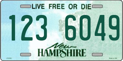 NH license plate 1236049