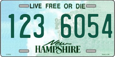 NH license plate 1236054