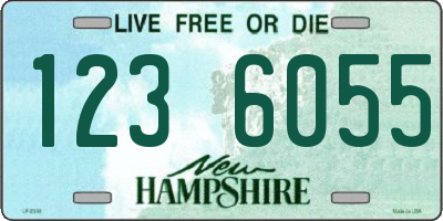 NH license plate 1236055