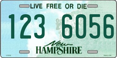 NH license plate 1236056