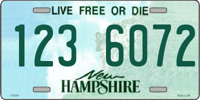 NH license plate 1236072