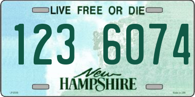 NH license plate 1236074