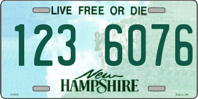 NH license plate 1236076