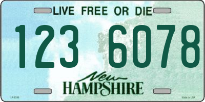 NH license plate 1236078