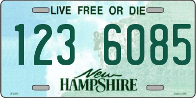 NH license plate 1236085