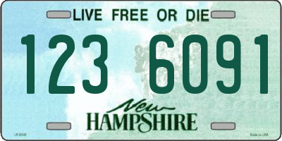 NH license plate 1236091
