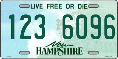 NH license plate 1236096
