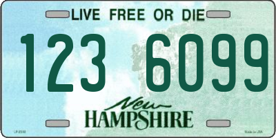 NH license plate 1236099