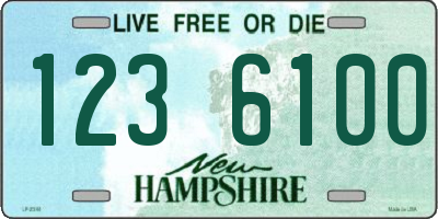 NH license plate 1236100