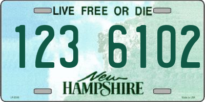 NH license plate 1236102