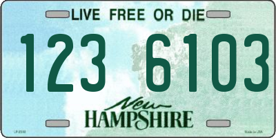 NH license plate 1236103