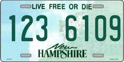 NH license plate 1236109
