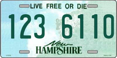 NH license plate 1236110