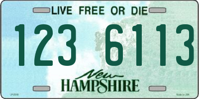 NH license plate 1236113