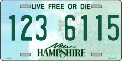 NH license plate 1236115