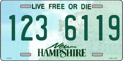 NH license plate 1236119