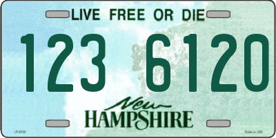 NH license plate 1236120
