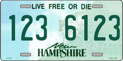 NH license plate 1236123