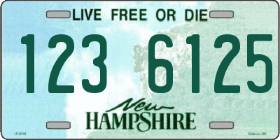 NH license plate 1236125