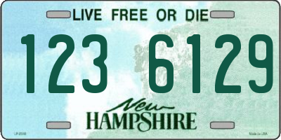 NH license plate 1236129