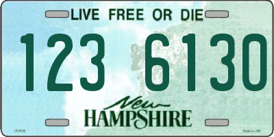 NH license plate 1236130