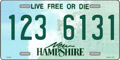 NH license plate 1236131
