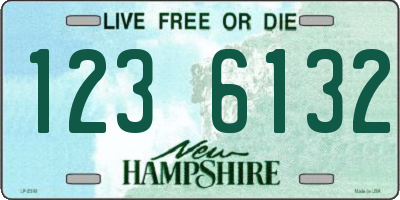 NH license plate 1236132