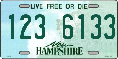 NH license plate 1236133
