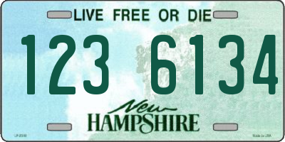 NH license plate 1236134