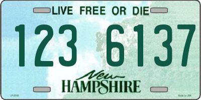 NH license plate 1236137