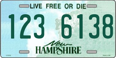 NH license plate 1236138