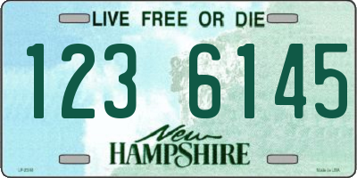 NH license plate 1236145