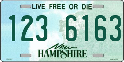 NH license plate 1236163