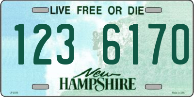 NH license plate 1236170