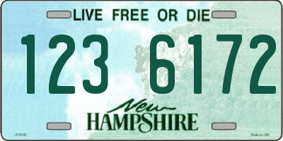 NH license plate 1236172