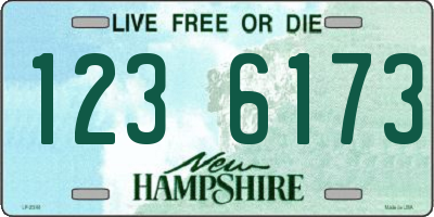 NH license plate 1236173
