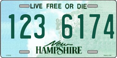 NH license plate 1236174