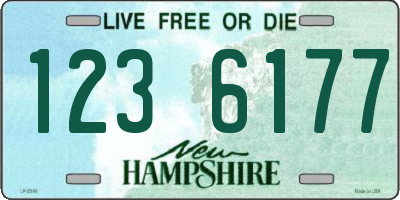 NH license plate 1236177