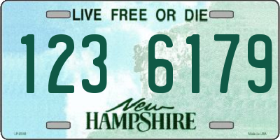 NH license plate 1236179