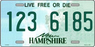 NH license plate 1236185