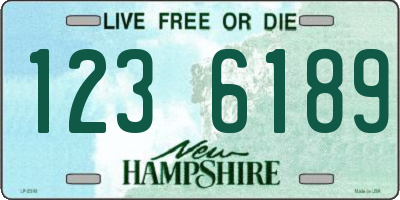 NH license plate 1236189