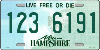 NH license plate 1236191