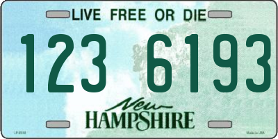 NH license plate 1236193
