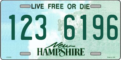 NH license plate 1236196