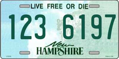 NH license plate 1236197