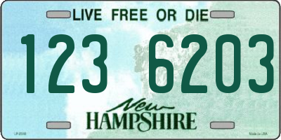 NH license plate 1236203