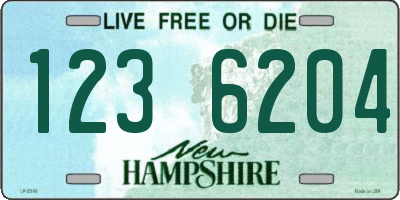 NH license plate 1236204