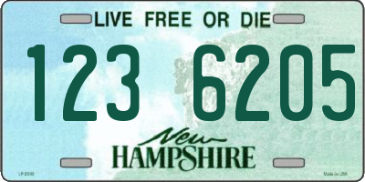 NH license plate 1236205